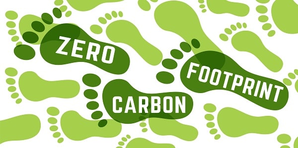 Como saber a pegada de carbono de uma empresa